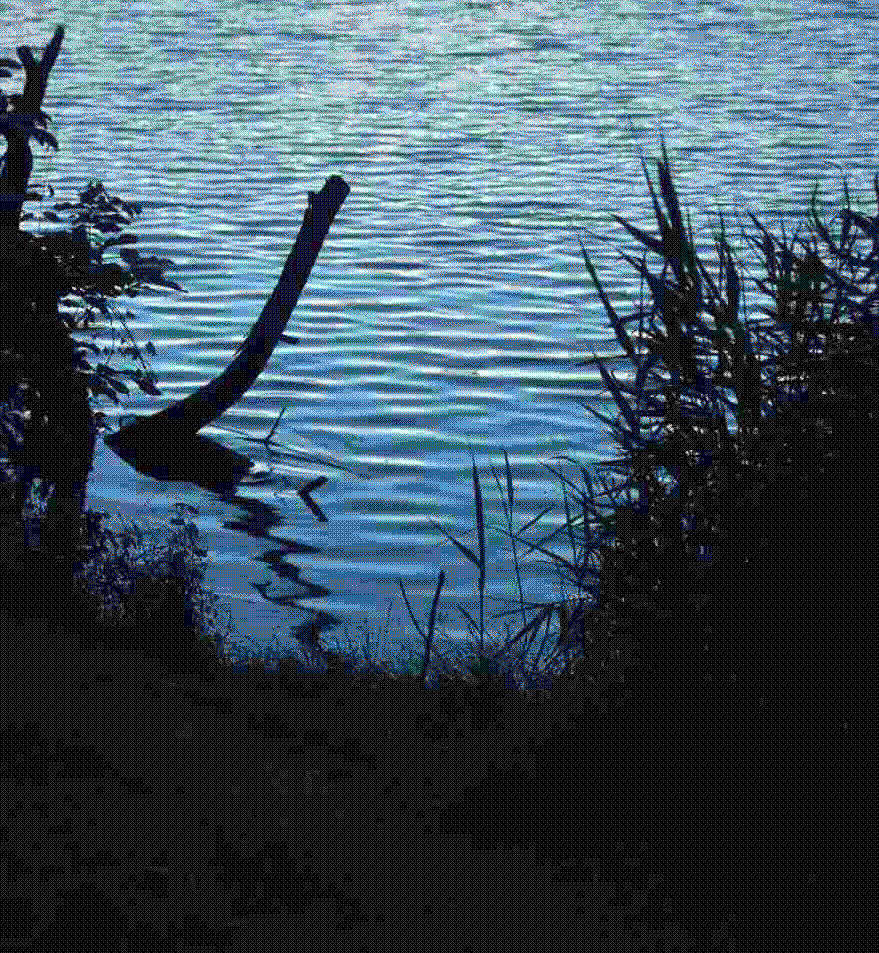 A short animation of how increasing the exposure time affects the image of a lake